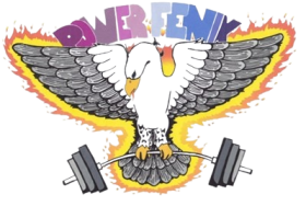 Logo_Fenix_Galicia_Power-removebg