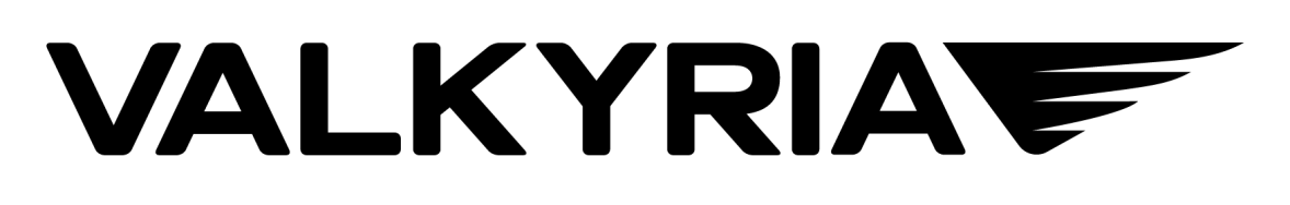 Logo_Valkyria_removebg