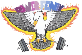 Power_Fenix-removebg